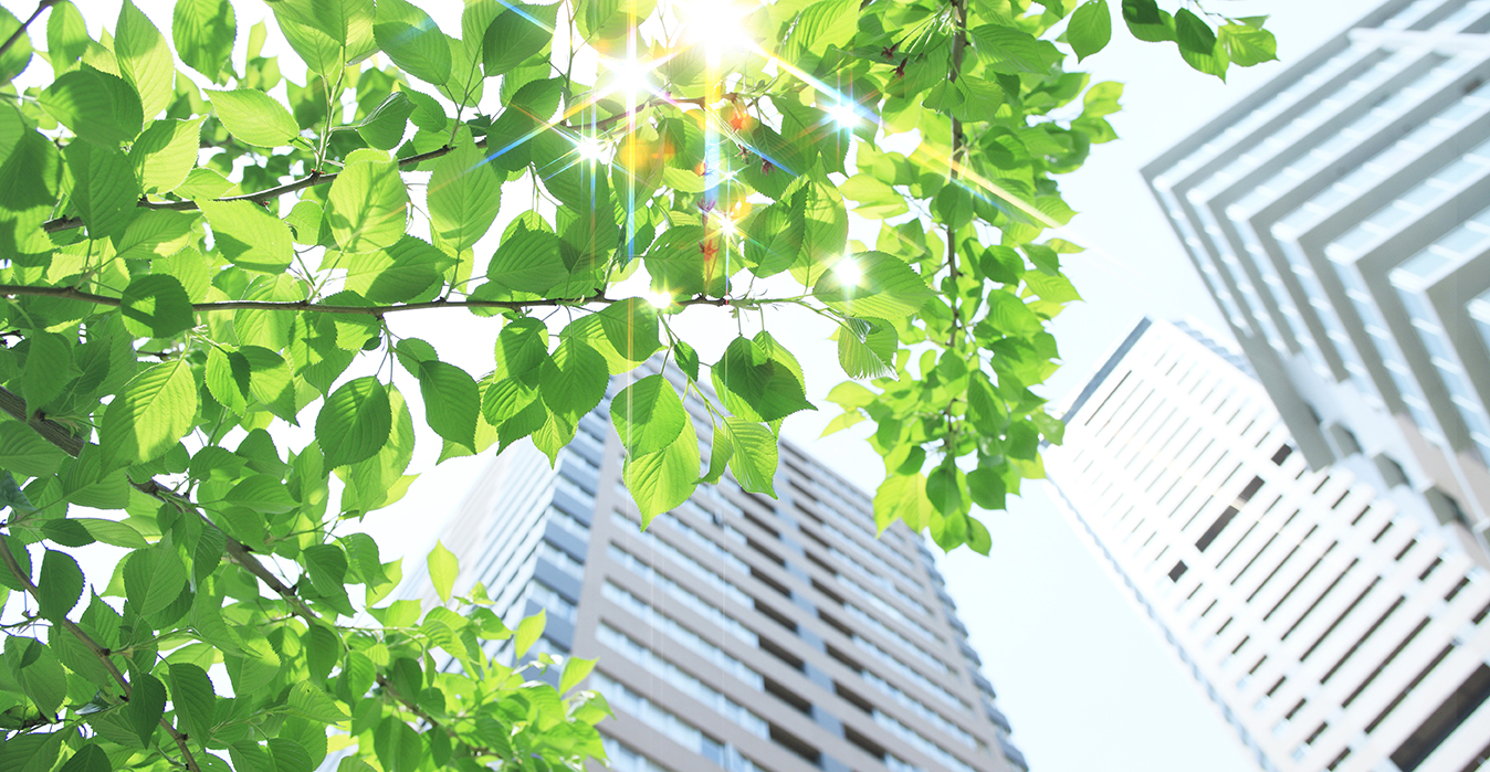 Contribuimos a la sostenibilidad ambiental, certificada por varios organismos Contribuimos a la sostenibilidad ambiental, certificada por varios organismos